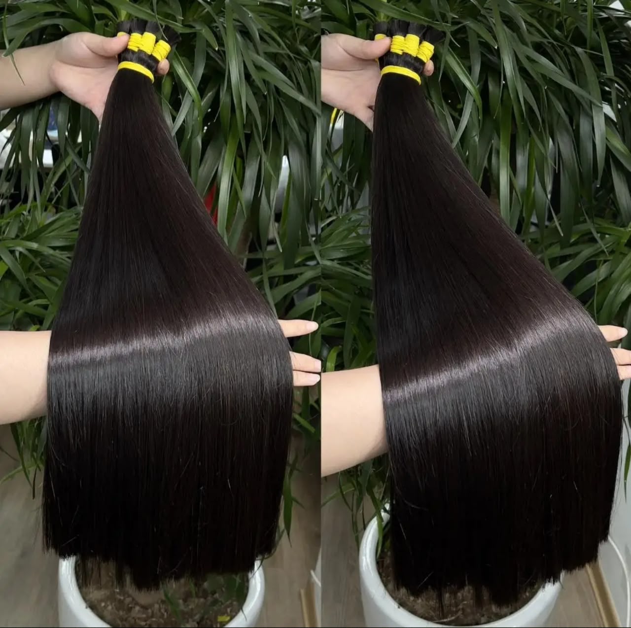 Cabello Humano Angela Rose 1